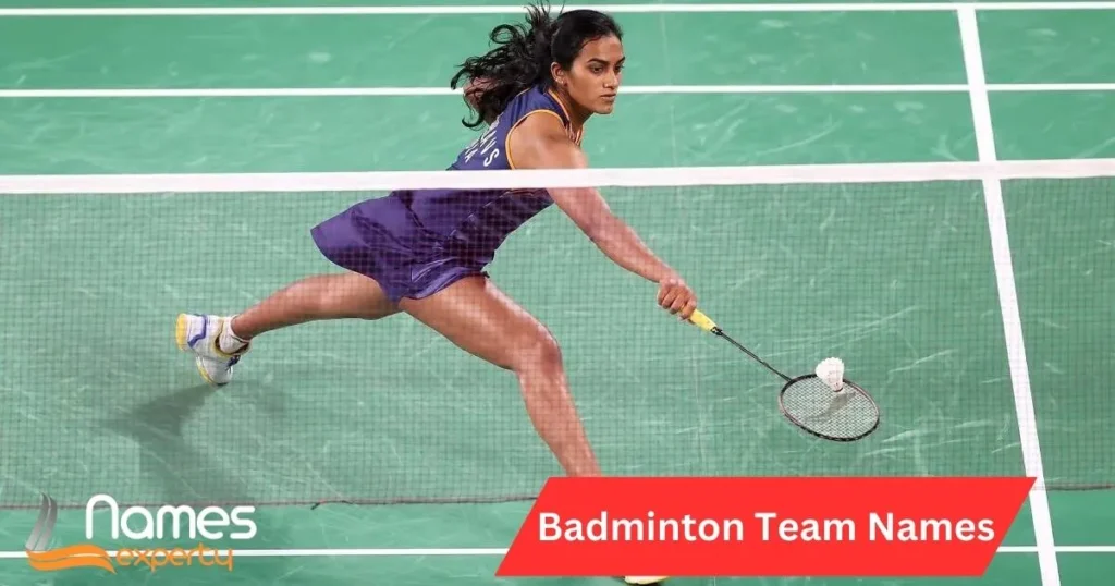 Badminton Team Names