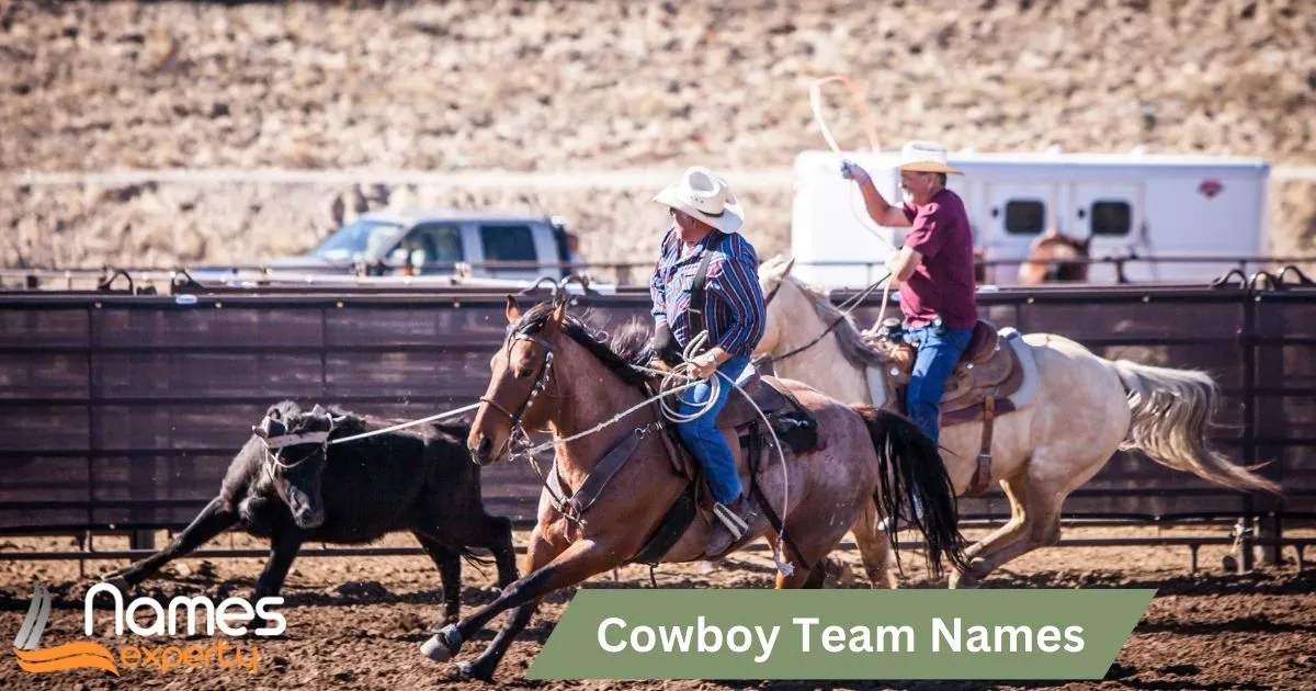 Cowboy Team Names