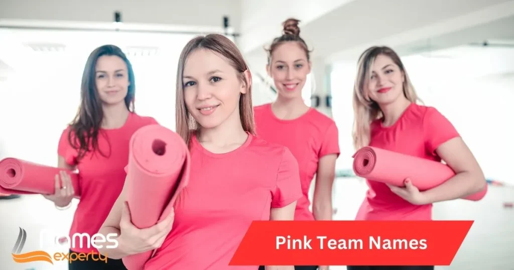 Pink Team Names