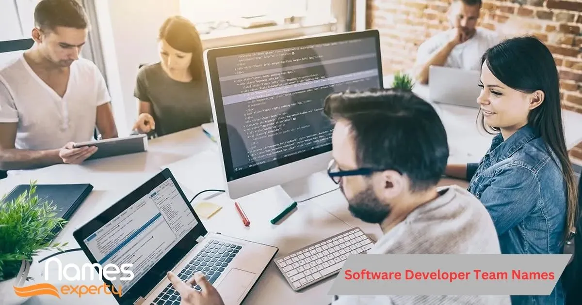 Software Developer Team Names