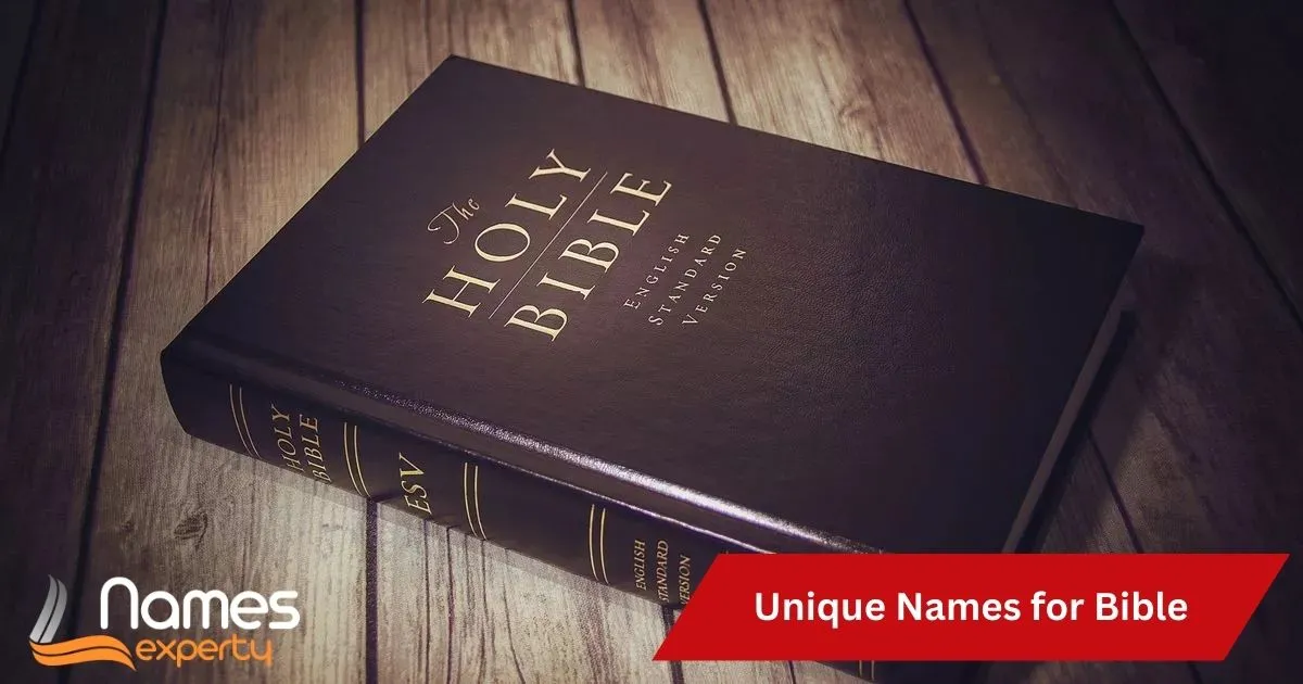 Unique Names For Bible