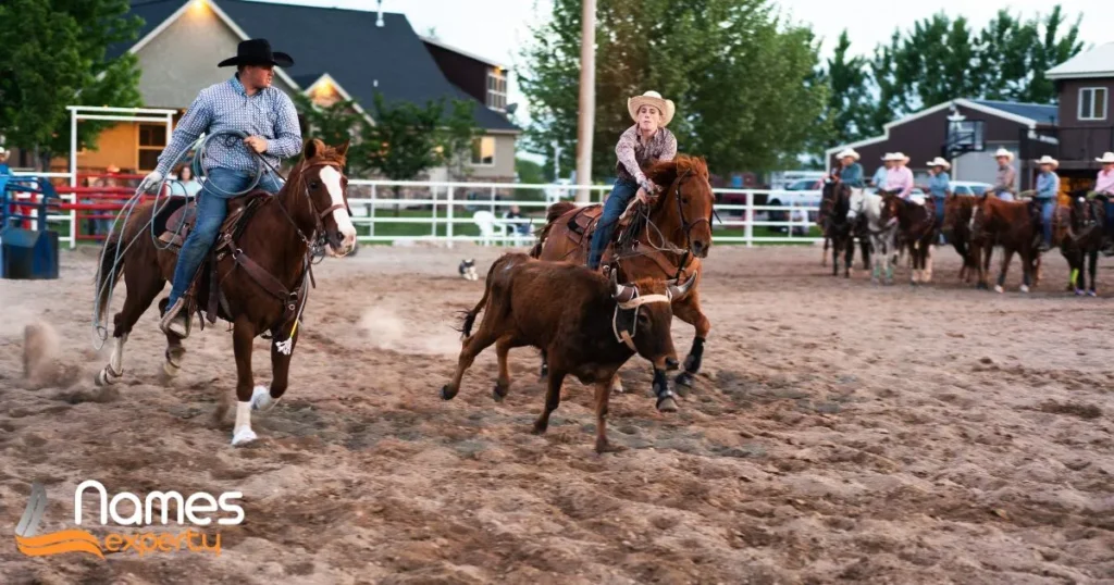 Creative Rodeo Team Names